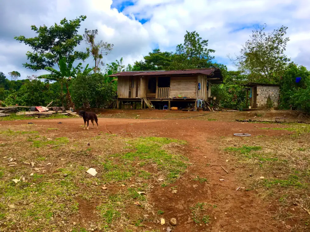 A tropical homestead with a simple single-story wooden house raised a bit more than one metre off the ground with multiple rooms, a metal roof, and a separate concrete bathroom structure a short distance away. The reddish-brown soil of the open area foreground is mostly bare from frequent foot traffic. Plantains, cacao, and various other plants are visible in the background. A small dog stands at left-centre of the photograph and appears to be barking.